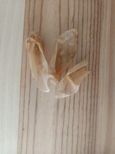 Oreja de cordero deshidratada sin pelo para perros – snack natural
