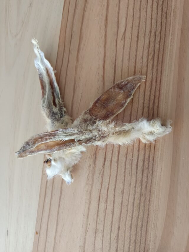 Orejas de conejo con pelo