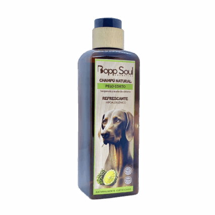 Champú Pelo Corto Refrescante 300ml