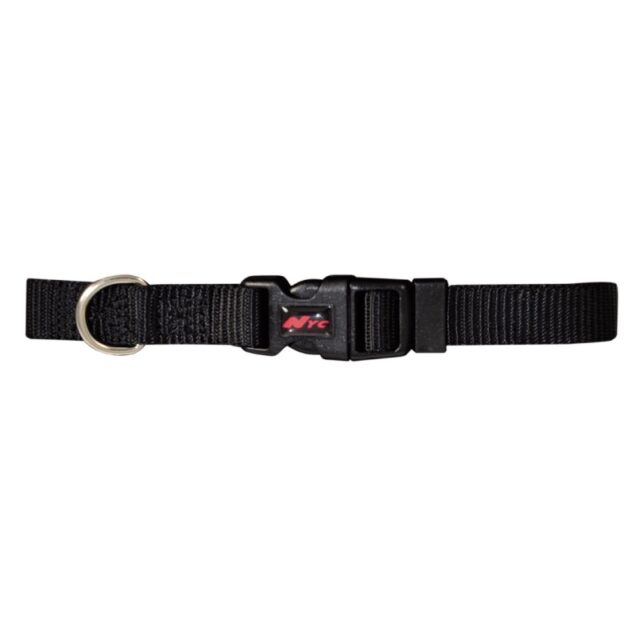 COLLAR BASIC