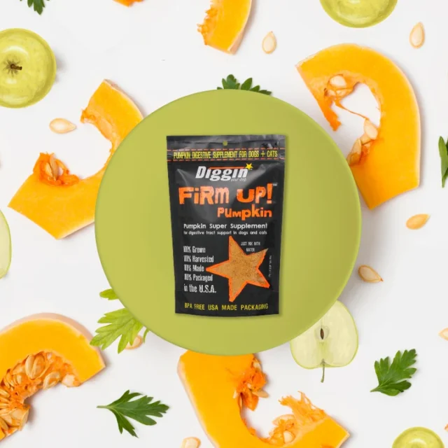 Firm Up! Pumpkin. Regulador Gastrointestinal 100% Natural. Prebiótico digestivo. - Imagen 3
