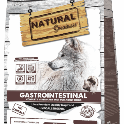 Vet Diet Gastrointestinal NG Dog