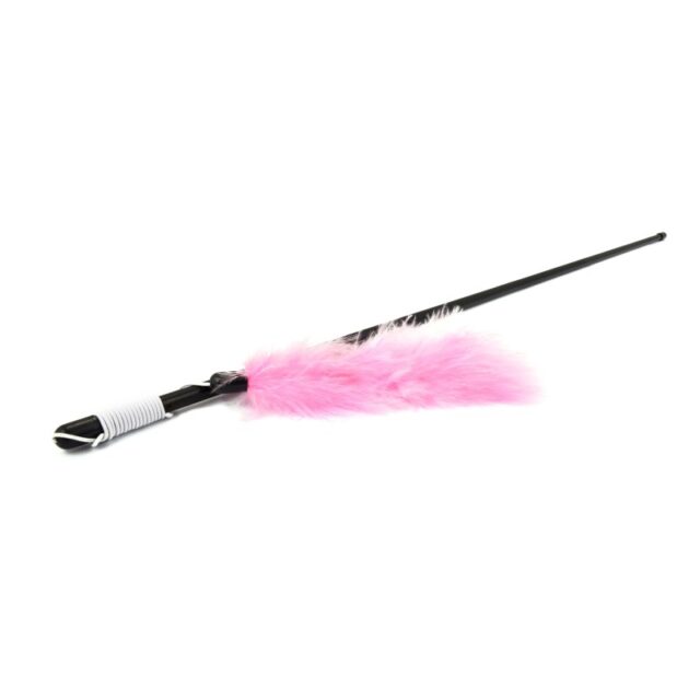 VARA CON PLUMA COLORES 48CM - Imagen 2