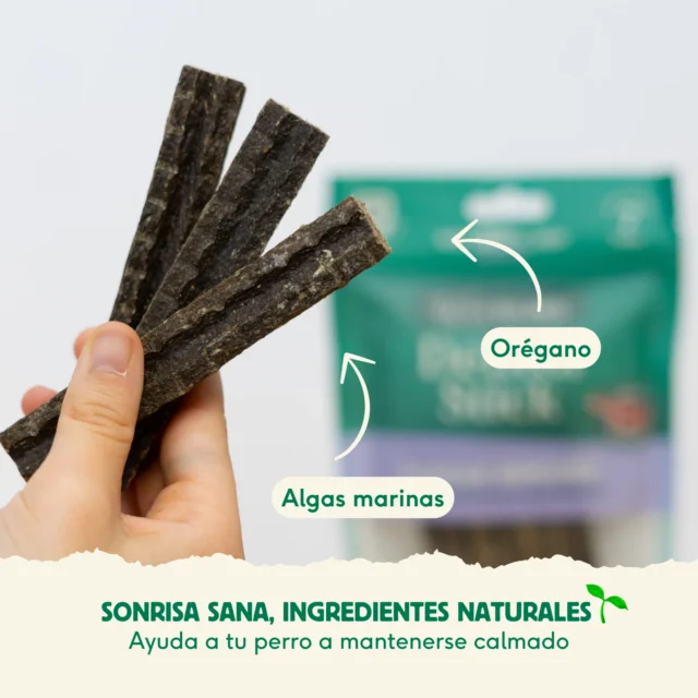 Stick Dental Plaque Remover - Imagen 2