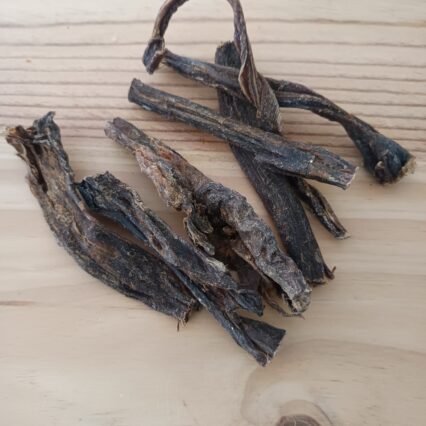 Carne de camello