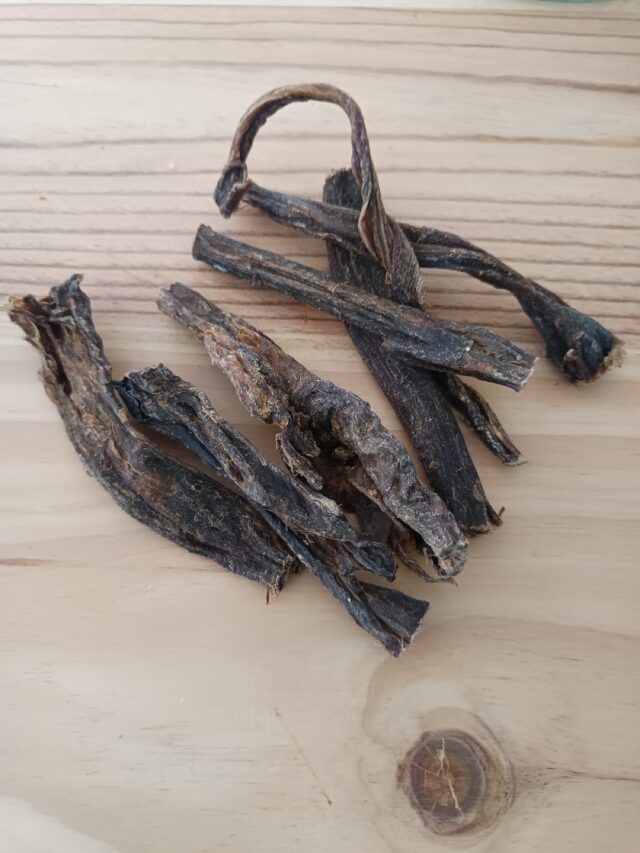 Carne de camello