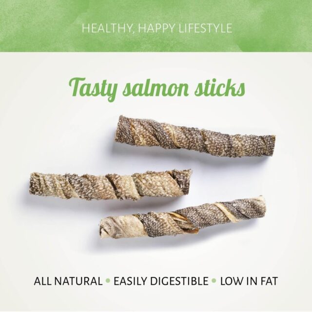 Sticks de Salmón 100% para Perros Antos – Snack Natural Deshidratado (100 g) - Imagen 2