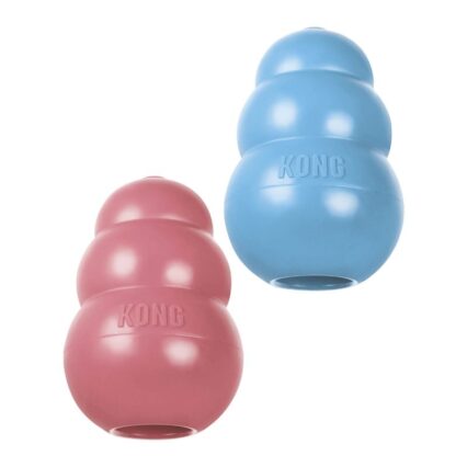 KONG ESPECIAL CACHORROS