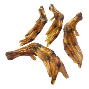 bolsa de Patas de Pato Fresh Raw 100 g para perros, snack natural horneado 41% proteína